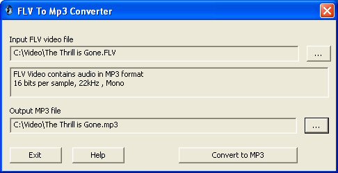 FLV to MP3 Converter main window